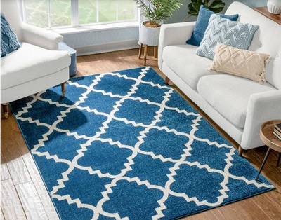 How to Use Rugs to Define Space in Your Home