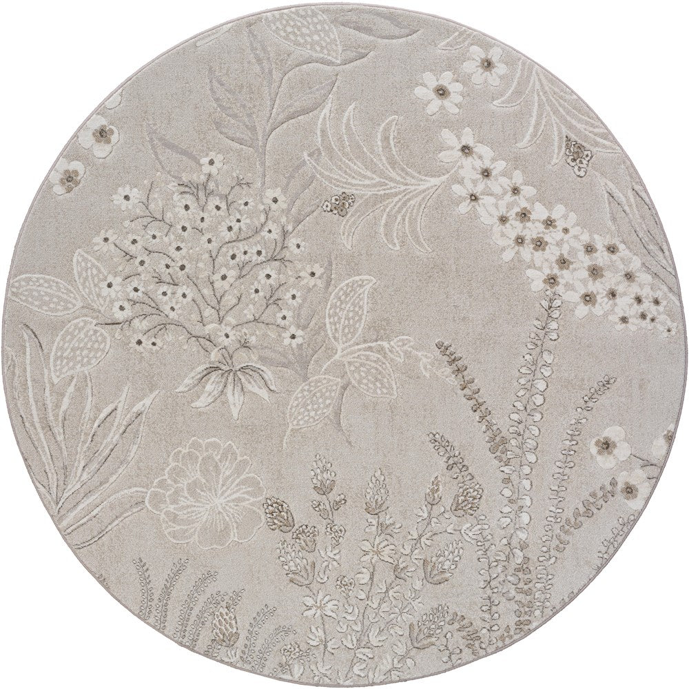 imersianvisualiserimage