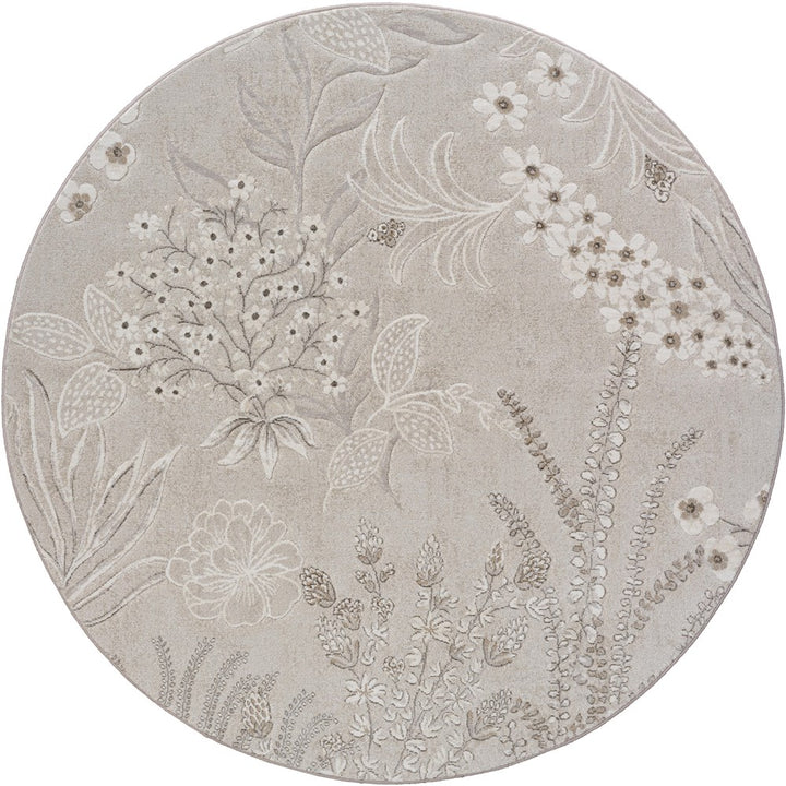 imersianvisualiserimage