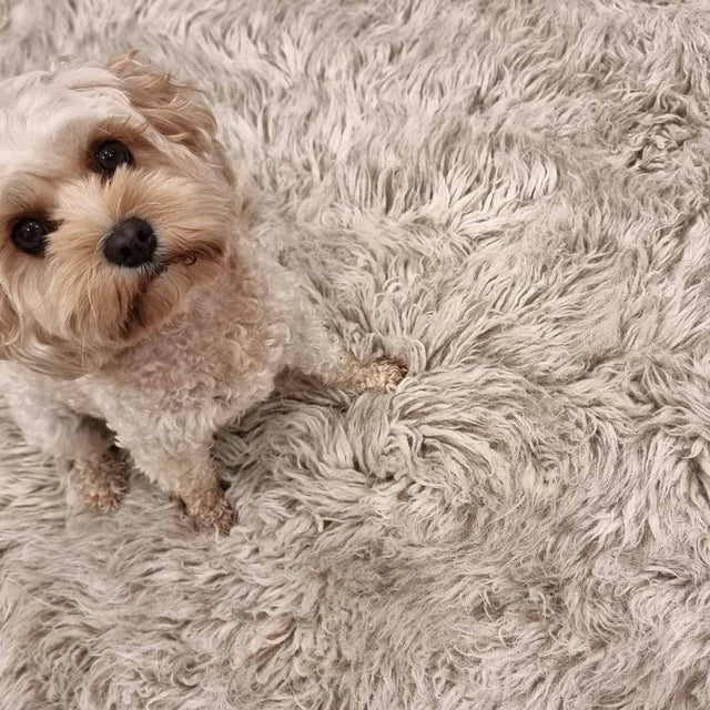 Pure New Zealand Wool 2000 GSM Cinnamon Flokati