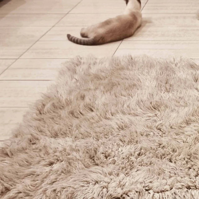 Pure New Zealand Wool 2000 GSM Cinnamon Flokati