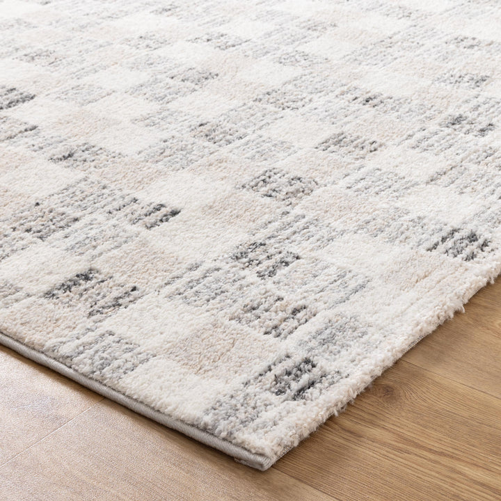 Palma Grey Beige Checkered Rug - D004
