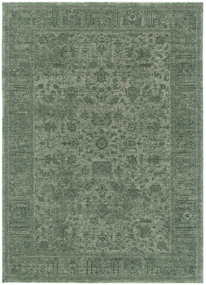 Heritage Distressed Border Green Rug - H107