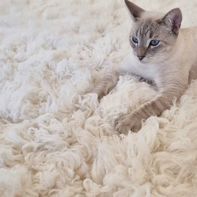 FLOKATI Pure New Zealand Wool 2000 GSM  IVORY