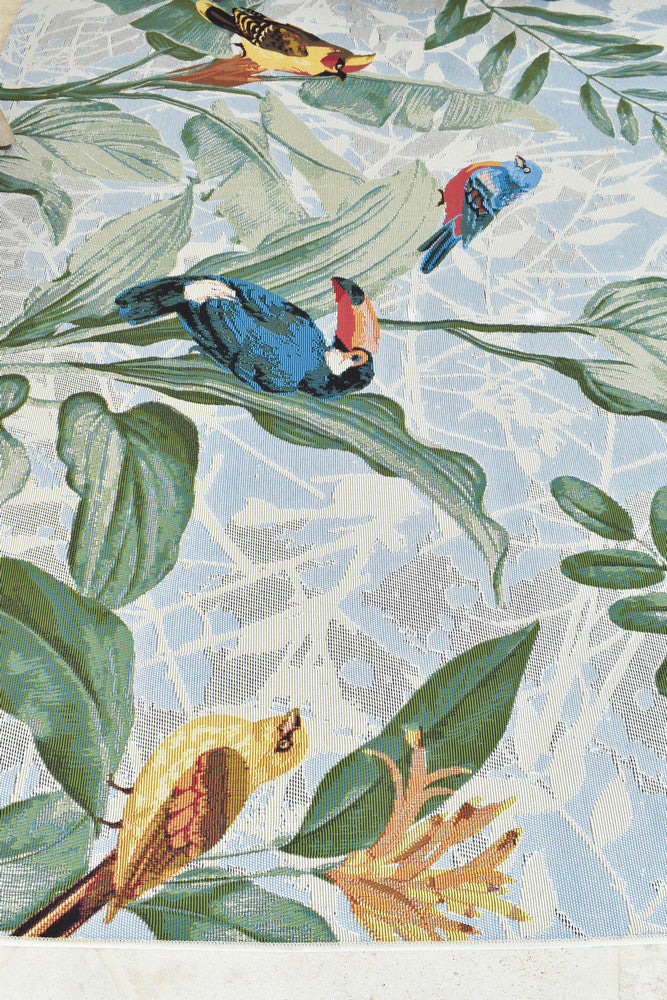 Paradise Birds
