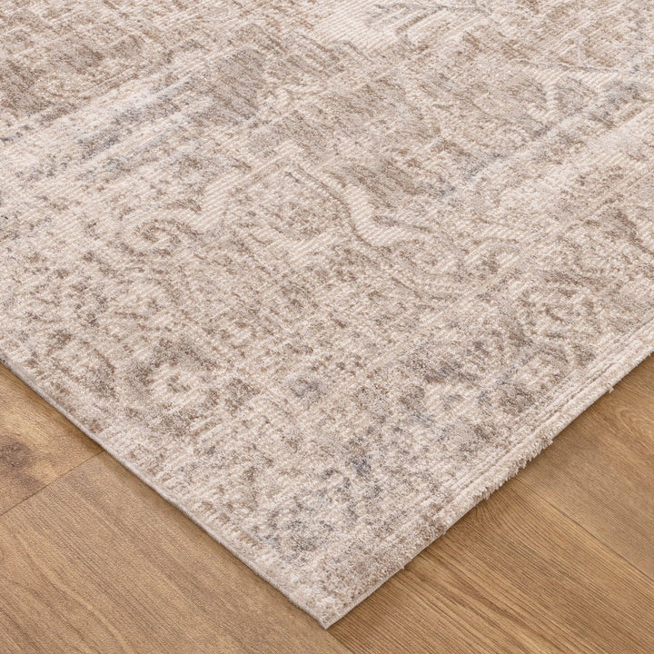 Solenne Beige & Blue Distressed Vintage Rug - S100