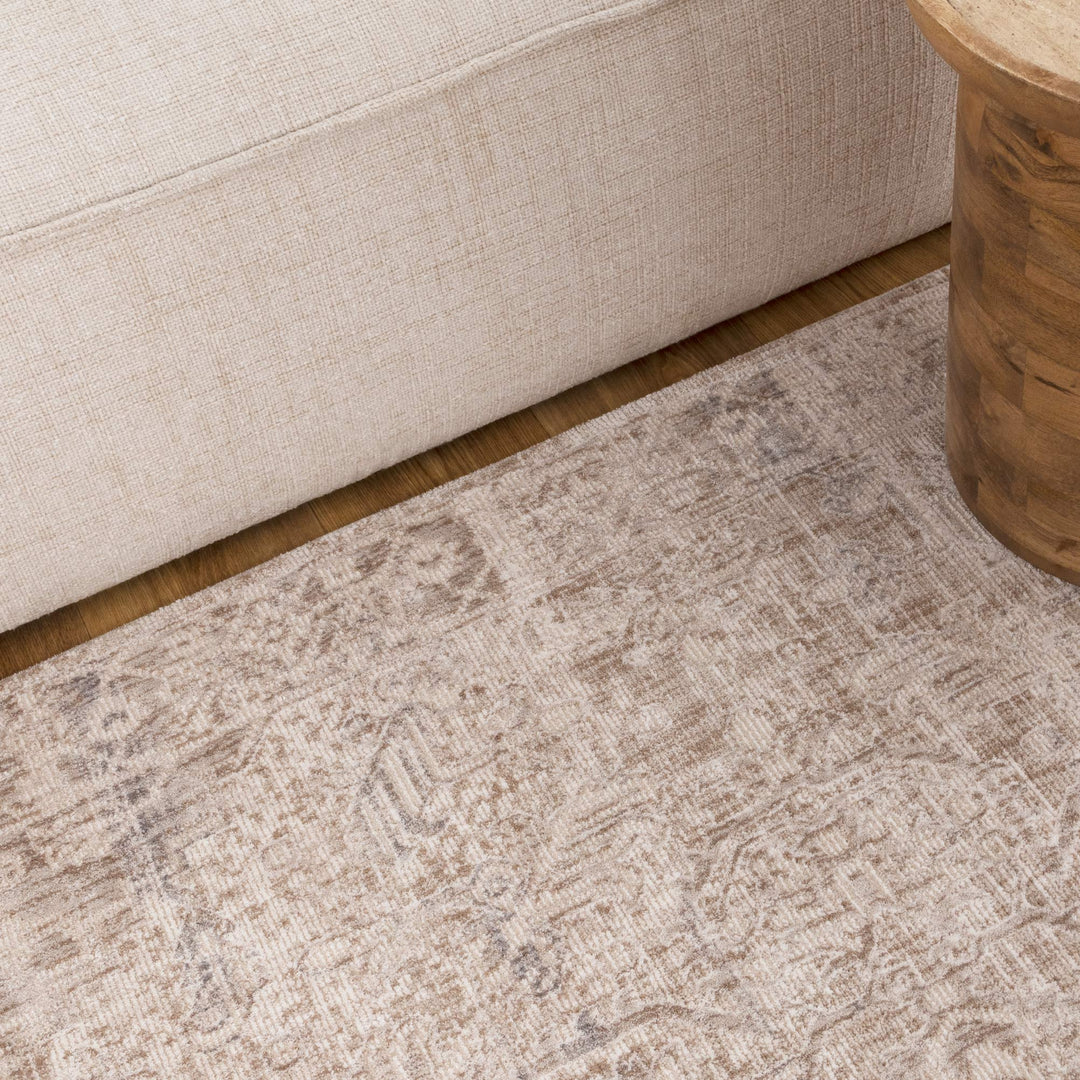 Solenne Beige & Blue Distressed Vintage Rug - S100