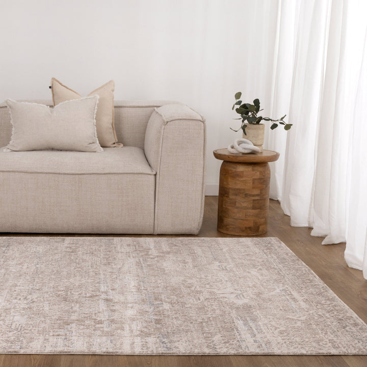 Solenne Beige & Blue Distressed Vintage Rug - S100