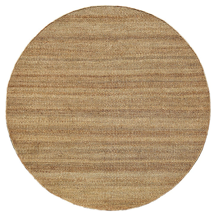 imersianvisualiserimage