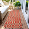 Vista Tito Pink Runner Rug