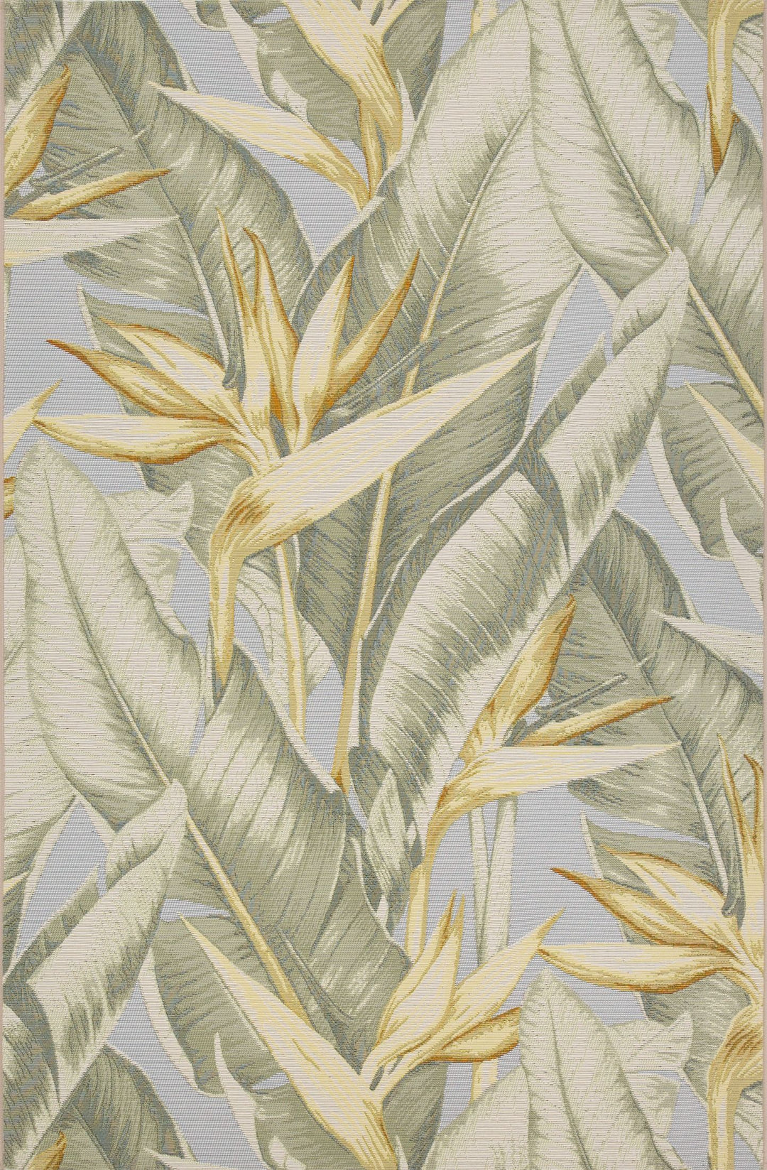 imersianvisualiserimage