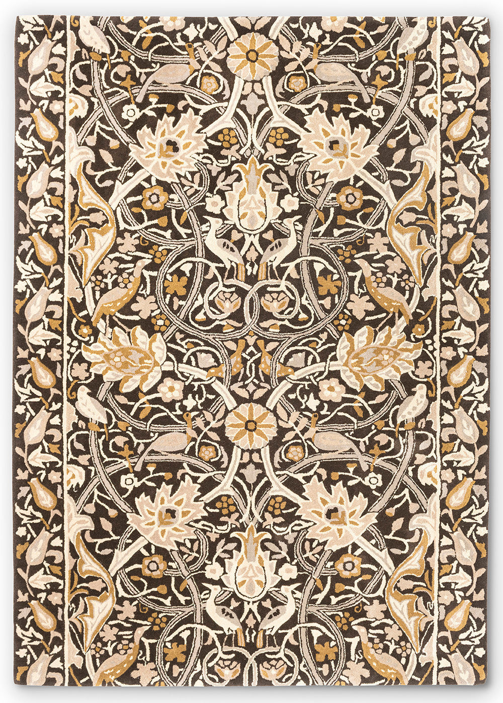 imersianvisualiserimage