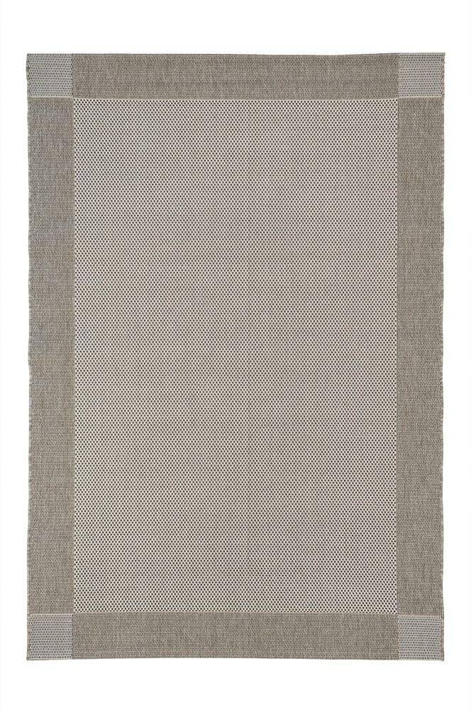 imersianvisualiserimage